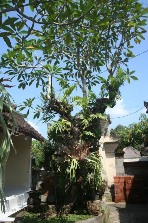Nugraha Guesthouse 1 Ubud Exteriér fotografie